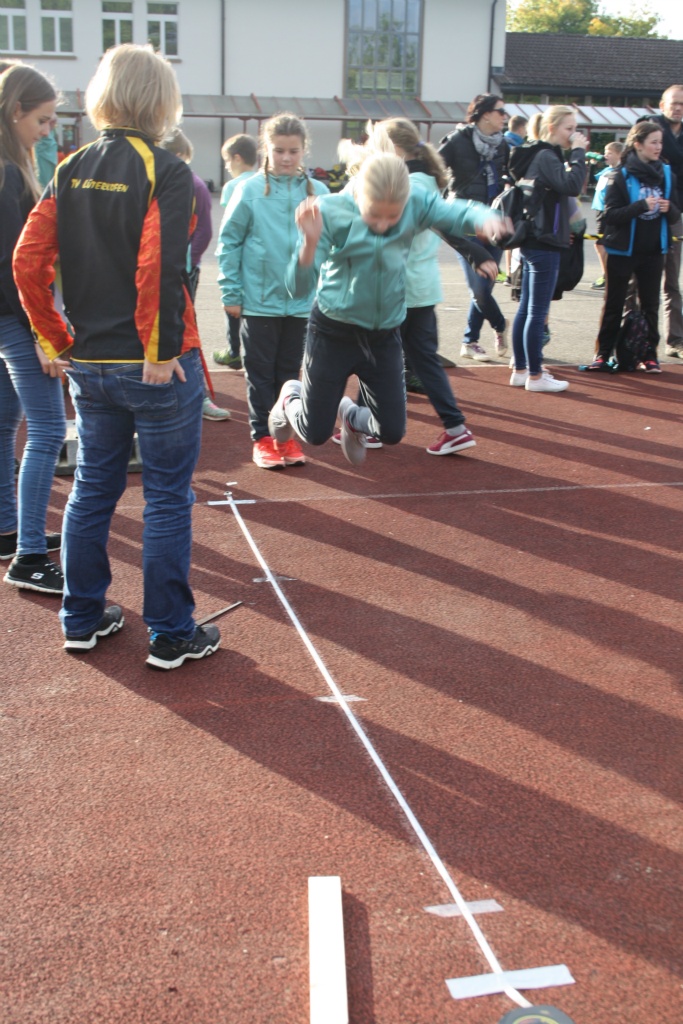 Bild 1 (28)